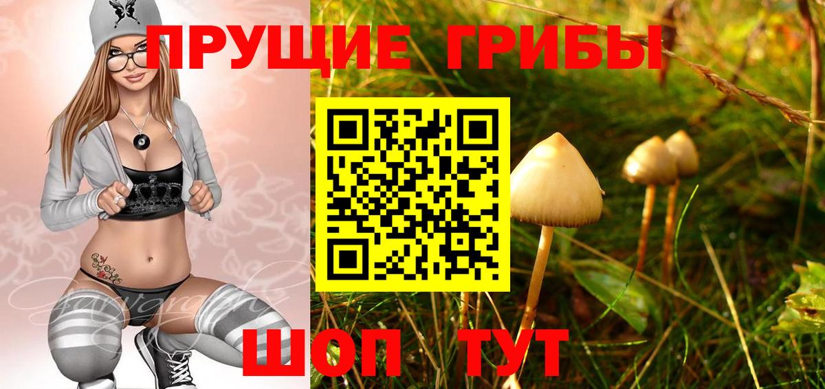 Раменское  Галлюциногенные грибы прущие грибы  Вход с VPN 