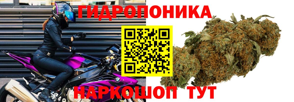 Канабис White Widow  Шишки марихуана марихуана  Каннабис ГИДРОПОН  Каннабис марихуана  Раменское  Вход с VPN 
